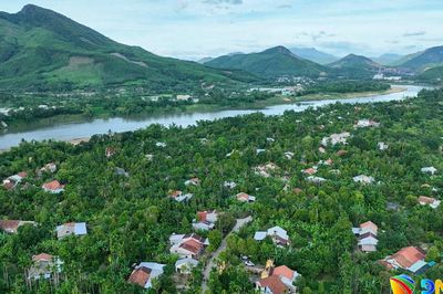 Thăm làng Đại Bình mùa 'ngọt' nhất