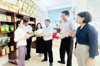 Kết nối, hỗ trợ phát triển sản xuất
