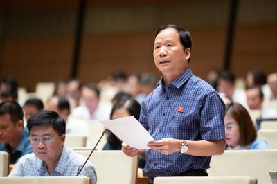 Đại biểu Quốc hội tỉnh góp ý về sửa đổi Luật Kinh doanh bất động sản