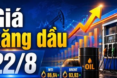 Giá xăng dầu hôm nay 22/8/2026: WTI trên 86 USD, Brent gần 94 USD
