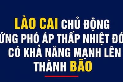 Lào Cai chủ động ứng phó áp thấp nhiệt đới có khả năng mạnh lên thành bão