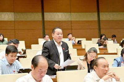 Đại biểu Quốc hội Tráng A Dương góp ý chính sách phát triển thị trường bất động sản