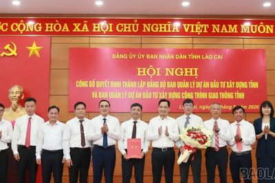 Thành lập 2 Đảng bộ trực thuộc Đảng bộ UBND tỉnh Lào Cai