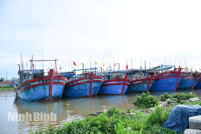 Ninh Bình khẩn trương ứng phó bão số 4 và mưa lũ: Cấm biển trước 5h ngày 22/8