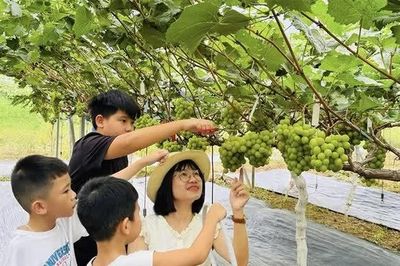 Khai thác tiềm năng kinh tế nông thôn từ du lịch trải nghiệm