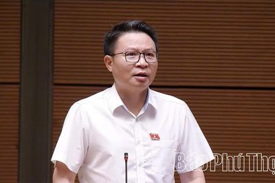 Đại biểu Quốc hội tỉnh thảo luận về định hướng chính sách sửa đổi Luật Kinh doanh bất động sản