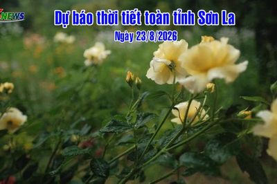 Dự báo thời tiết toàn tỉnh Sơn La ngày 23/8/2026