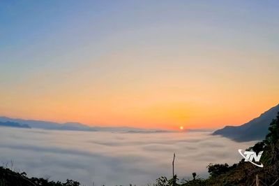 Rủ nhau lên núi 'săn mây'