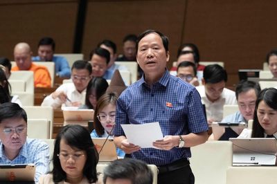 ĐBQH: Hoàn thiện hệ thống dữ liệu, công khai trung thực thông tin dự án bất động sản