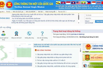 Quy định mới về thủ tục xuất nhập khẩu qua Cơ chế một cửa quốc gia, ASEAN