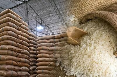 Ngày 22/8: Giá gạo nguyên liệu xuất khẩu giảm ngày thứ ba liên tiếp