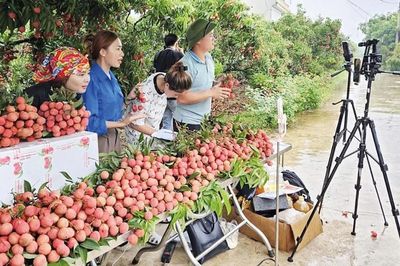 Nông sản “lên sóng”, rộng đường ra thị trường