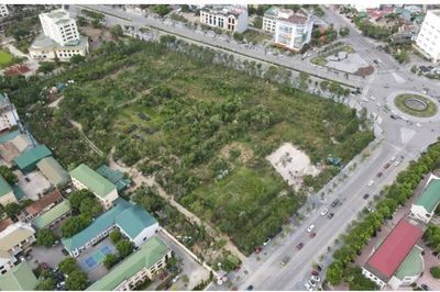 Hà Nội Xanh trúng đấu giá đất 829 tỷ tại Nghệ An, dùng hàng loạt biệt thự thế chấp ngân hàng