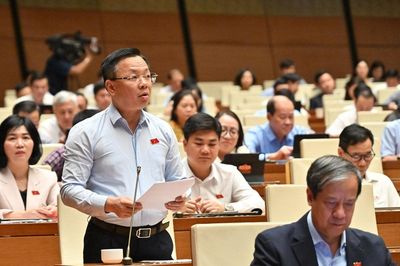 ĐBQH Trần Thanh Hà (Hà Nội) Phân cấp ngân sách phải linh hoạt, thống nhất với Luật Thủ đô