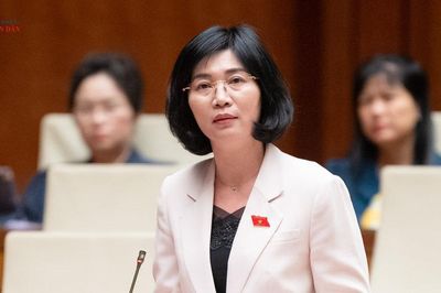 ĐBQH Phùng Thị Hồng Hà (Hà Nội): Cân đối nguồn lực trước khi quyết định danh mục đầu tư