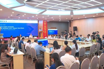 Hộ kinh doanh trong bức tranh tăng trưởng: Khơi thông nguồn lực, mở rộng dư địa phát triển