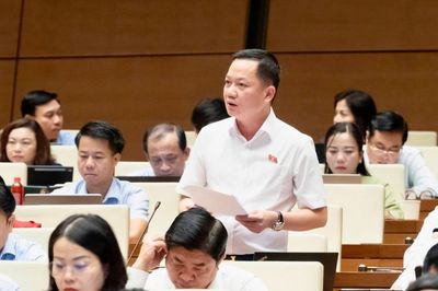 'Thao túng đối với bất động sản là hành vi rất nguy hiểm'