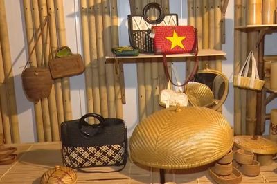 Khởi nguồn tri thức: Từ Hồ Văn đến đêm ‘Tinh hoa đạo học’