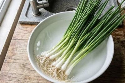 Hành lá mua về đừng vội cho vào tủ lạnh, thêm một bước này để hành tươi lâu hơn