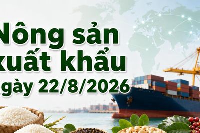 Nông sản xuất khẩu 22/8: Điều, tiêu dẫn đầu về giá