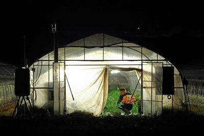Nông dân Nhật Bản 'ngủ ngày, cày đêm' vì nắng nóng
