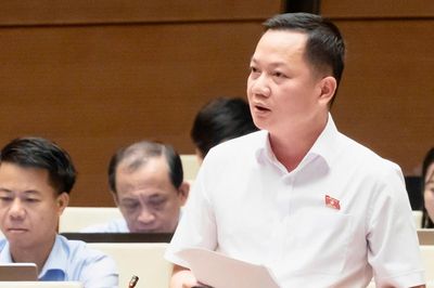 Đại biểu Quốc hội đề nghị định danh hành vi thao túng thị trường bất động sản