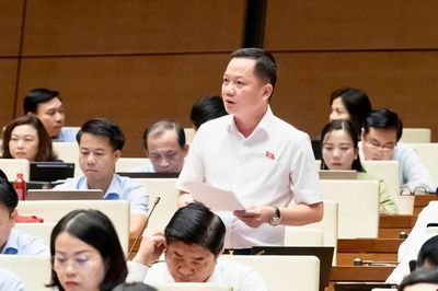 Đại biểu Quốc hội kiến nghị đưa hành vi thao túng thị trường bất động sản vào diện bị cấm