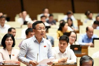 Đại biểu Quốc hội đề nghị bảo đảm cơ chế đặc thù của Hà Nội trong Luật Ngân sách nhà nước