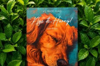 'Ngủ đi, Harry!' - một thế giới đa chiều