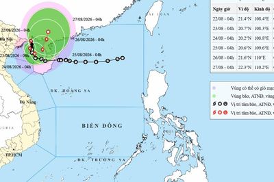 Bão số 4 liên tục đổi hướng, các địa phương khẩn cấp ứng phó