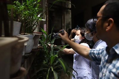 Phường Ba Đình triển khai 90 đội diệt bọ gậy, kiểm soát sốt xuất huyết từ khu dân cư