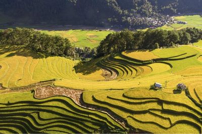 Chấn chỉnh tình trạng thu thêm tiền khách ngắm lúa ở Mù Cang Chải