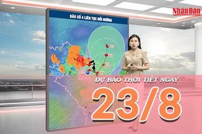 [Video] Dự báo thời tiết ngày 23/8/2026: Bão số 4 di chuyển chậm, Bắc Bộ tiếp tục mưa lớn