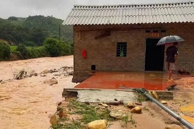Bão số 4 làm 1 người chết, hơn 2.800ha cây trồng bị thiệt hại