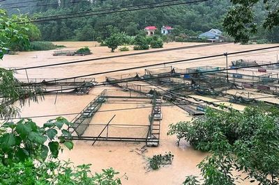 Mưa lũ và bão số 4 làm 17.812 khách hàng bị mất điện