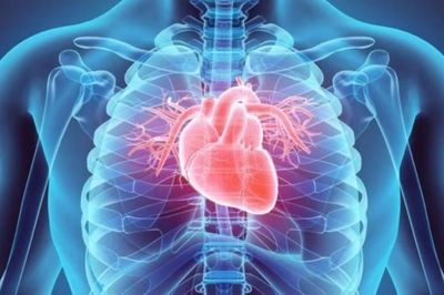 Bệnh tim có thể đi cùng nguy cơ ung thư cao hơn ở nam giới
