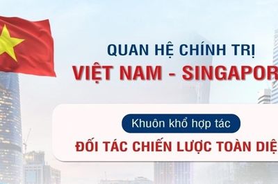 Quan hệ chính trị Việt Nam-Singapore