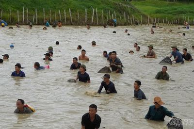 Hàng trăm người lội bùn bắt cá cầu may