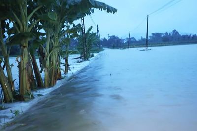 Bắc Ninh chủ động ứng phó bão số 4, kiên quyết di dời dân khỏi vùng nguy hiểm