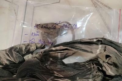 Chín chiếc khăn ở Công viên Lê Thị Riêng có phải ám hiệu của chiến sĩ Biệt động Sài Gòn?