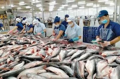 Xuất khẩu thủy sản tháng 7 đạt 1,1 tỷ USD, thị trường lớn hiện ra sao?