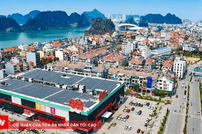 Khi những mái nhà tự tạo ra điện