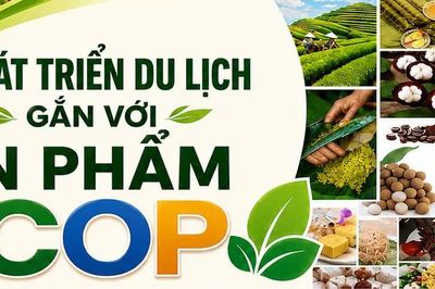 Giải pháp phát triển du lịch gắn với sản xuất và tiêu dùng sản phẩm OCOP