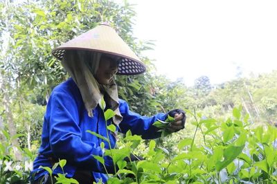 Lào Cai phát triển nông nghiệp theo hướng hàng hóa hiện đại và kinh tế xanh