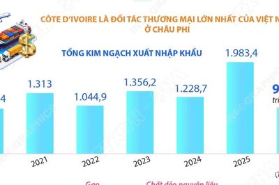 Quan hệ hữu nghị và hợp tác tốt đẹp Việt Nam-Côte d'Ivoire