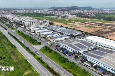 Hợp tác kinh tế, thương mại Việt Nam-Singapore: Biến thách thức thành cơ hội