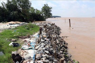 Sạt lở đê bao sông Hậu qua Cù Lao Dung uy hiếp hàng trăm hộ dân