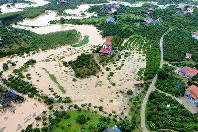 Mưa lũ nhấn chìm hàng nghìn ha lúa, hoa màu ở Bắc Ninh