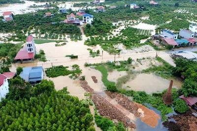 Điện lực miền Bắc khôi phục cấp điện cho gần 44% khách hàng bị ảnh hưởng do bão số 4