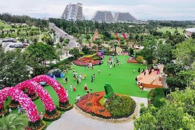 Gia Lai khai hội ngàn hoa, đưa sắc màu đại ngàn về phố biển